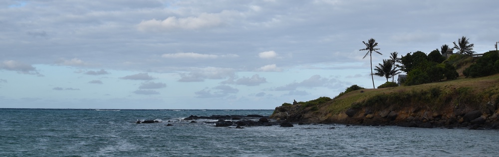 Hawaiian shore by Kirk Hopkins