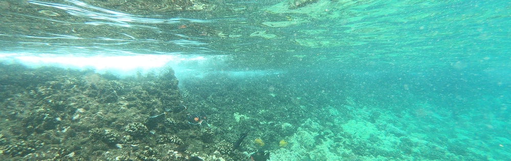 Hawaiian under water shot by Kirk Hopkins