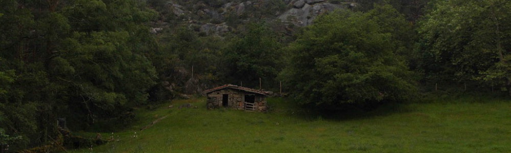 Porto Cabin by Logan Glennie