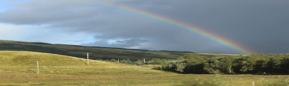 Rainbow by Alice Marshall