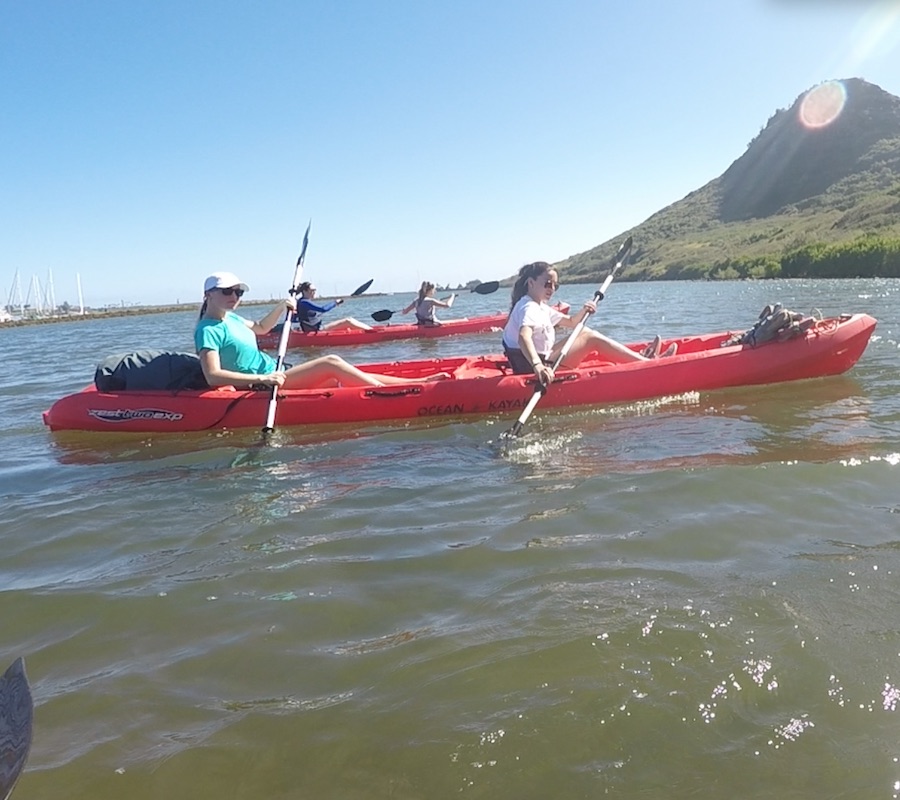 Class images: Kayaking by liv tormey
