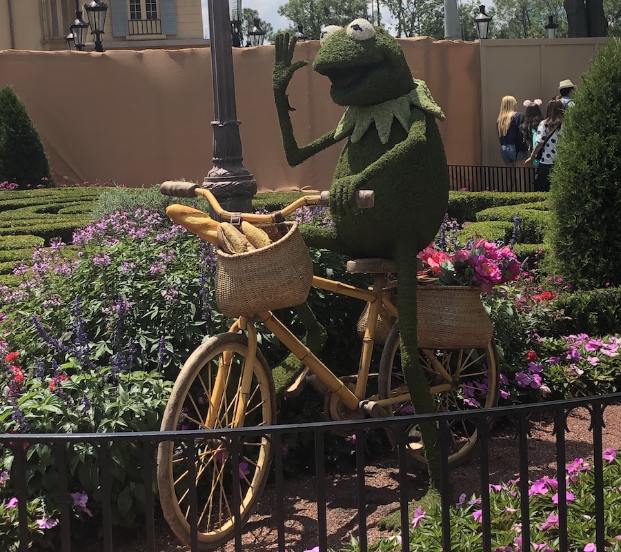 Class images: Kermit by Katy Smith