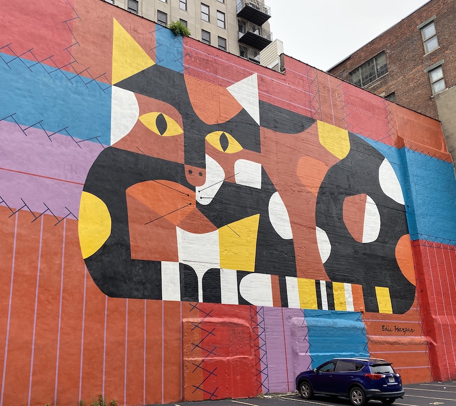 Class images: cat by Kirk Hopkins