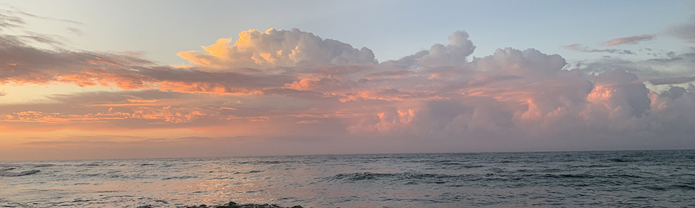 Class images: beach 2 by Marisa Sandoval