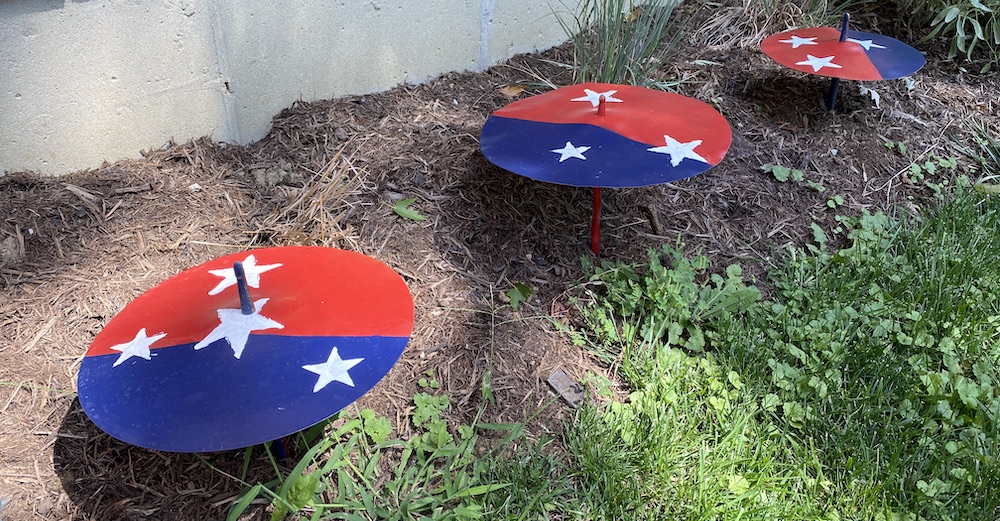 cymbal garden behind my house